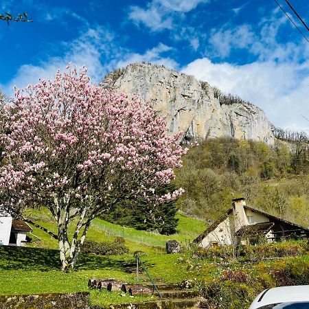 Superbe Villa Apaisante, Vue Sur La Loue Mouthier-Haute-Pierre Exterior foto