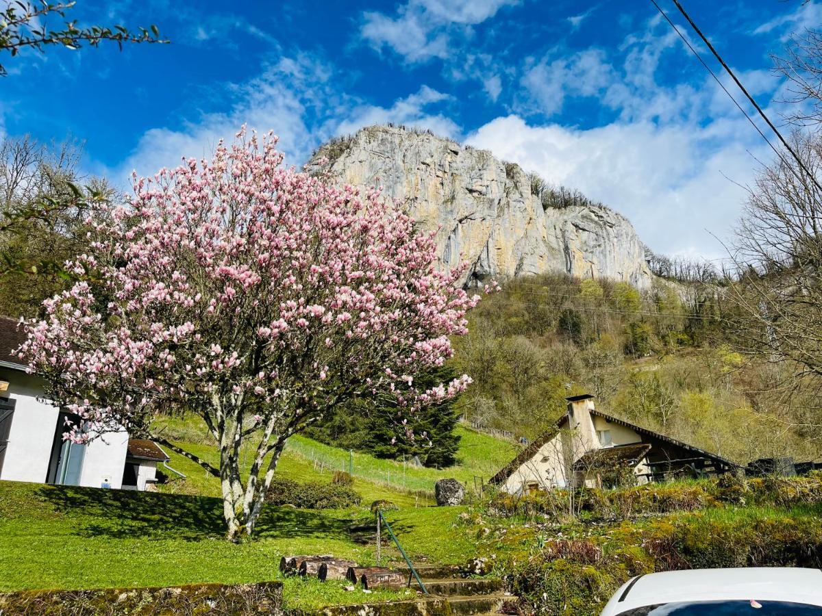 Superbe Villa Apaisante, Vue Sur La Loue Mouthier-Haute-Pierre Exterior foto